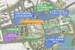 政策的利加项目本身的劣势